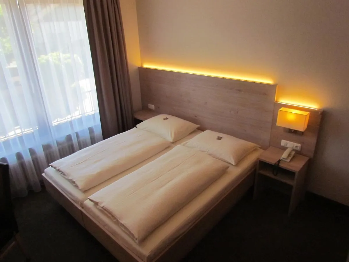 Hotel Lutter ミュンヘン 3*,
